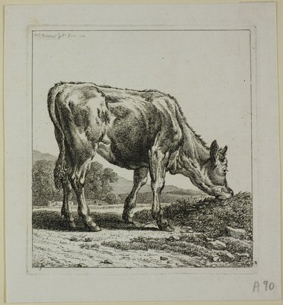 Ternero alimentándose, de Die Zweite Thierfolge de Johann Christian Reinhart