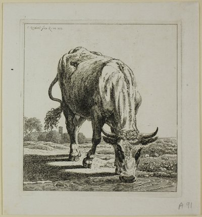 Vaca bebiendo, de Die Zweite Thierfolge de Johann Christian Reinhart