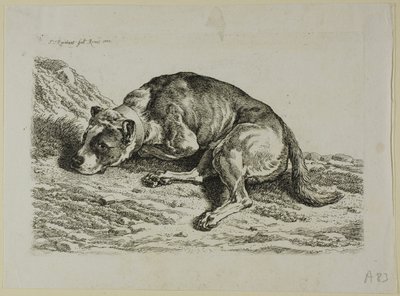 Perro acostado, de Die Zweite Thierfolge de Johann Christian Reinhart