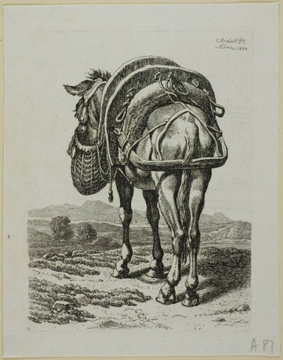 Mula alimentándose - Parte trasera, de Die Zweite Thierfolge de Johann Christian Reinhart