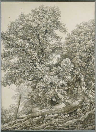  de Johann Christian Reinhart
