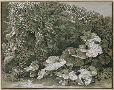  de Johann Christian Reinhart