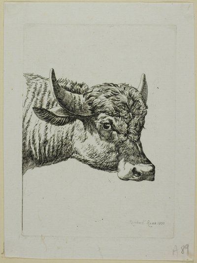 Cabeza de un búfalo, de Die Zweite Thierfolge de Johann Christian Reinhart