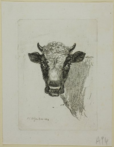 Cabeza de un Toro Joven, de Die Zweite Thierfolge de Johann Christian Reinhart