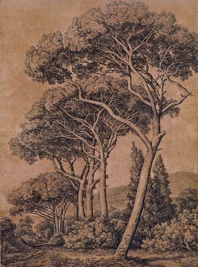 J C Reinhart Pinos paraguas 1791 de Johann Christian Reinhart
