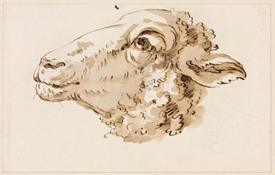 Cabeza de oveja orientada a la izquierda de Johann Christian Reinhart