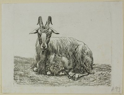 Cabra Acostada, de Die Zweite Thierfolge de Johann Christian Reinhart
