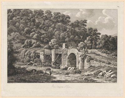 Paisaje: Ponte Aquoreo en Tivoli de Johann Christian Reinhart