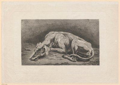 Galgo dormido de Johann Christian Reinhart