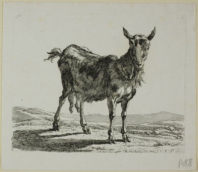 Cabra de pie, de Die Zweite Thierfolge de Johann Christian Reinhart