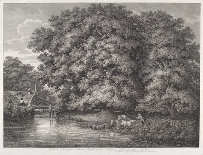 El molino en los Grandes Robles de Johann Christian Reinhart