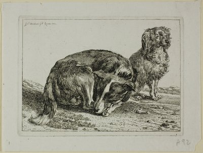 Dos perros descansando, de Die Zweite Thierfolge de Johann Christian Reinhart