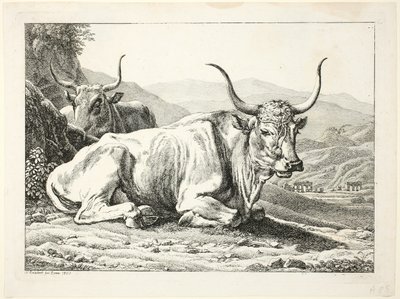 Dos toros romanos descansando, de Die Zwiete Thierfolge de Johann Christian Reinhart