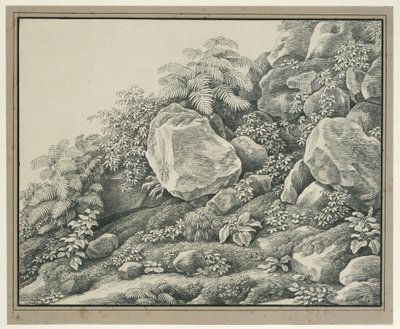 Estudio de primer plano: rocas, matorrales, helechos y plantas de follaje de Johann Christian Reinhart