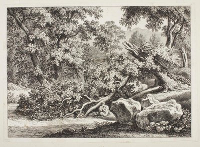  de Johann Christian Reinhart