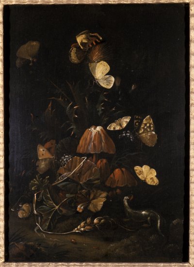 Flores con mariposas y lagarto de Johann Christian Thomas Winck