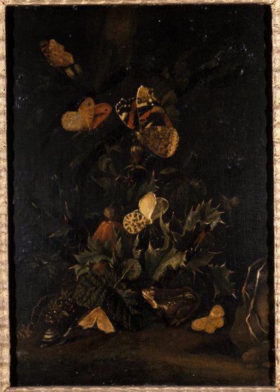 Flores con mariposas y sapo de Johann Christian Thomas Winck