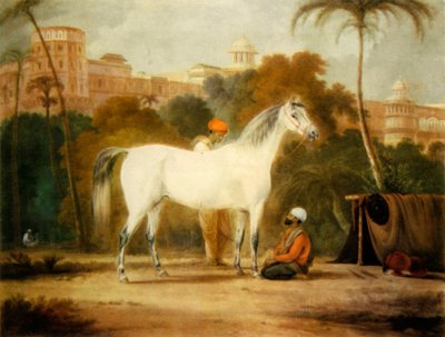 La yegua real de Carlos II, c. 1685, 1944 de Johann Christof Sartorius