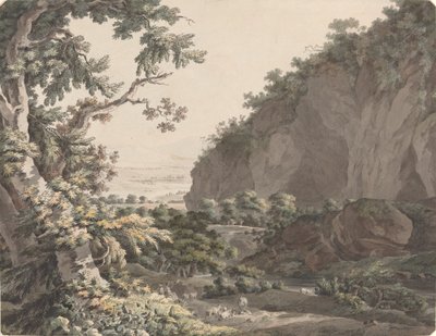 Un valle boscoso con acantilados rocosos de Johann Conrad Steiner