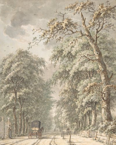 El camino de Amstelveen desde Ámsterdam hacia Amstelveen, mediados del siglo XVIII-finales del siglo XVIII de Johann Edler Goll van Franckenstein