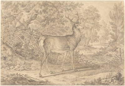 de Johann Elias Ridinger