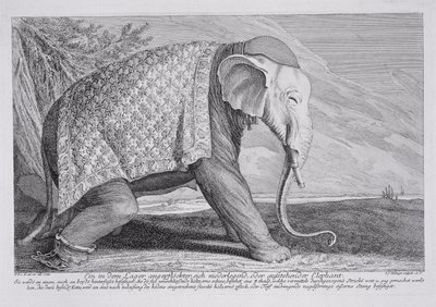 Un elefante de Johann Elias Ridinger or Riedinger