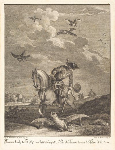 Halcón levantando un búho del suelo de Johann Elias Ridinger