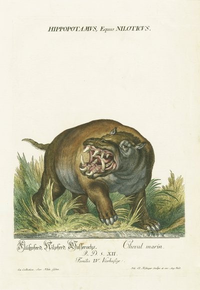  de Johann Elias Ridinger