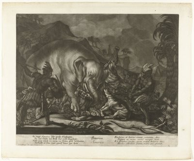 Caza de elefantes América (título sobre objeto) de Johann Elias Ridinger