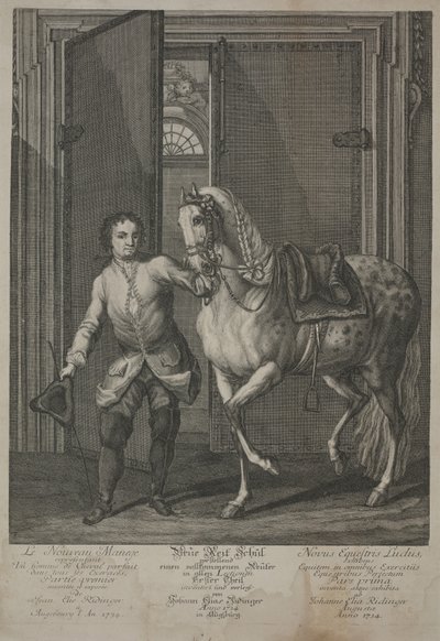 Nueva escuela de equitación de Johann Elias Ridinger