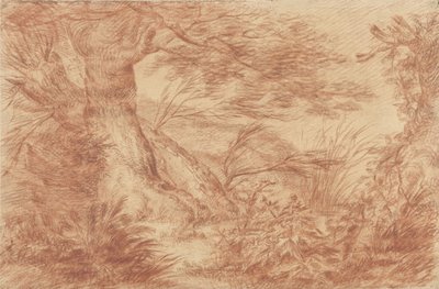 Plantas y hierbas cerca de viejos troncos de sauce de Johann Elias Ridinger