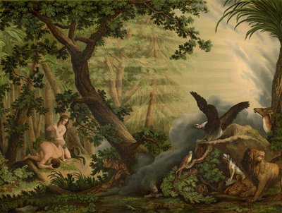 La Caída de Johann Elias Ridinger or Riedinger