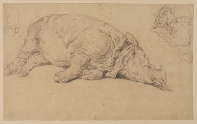Rinoceronte acostado de lado de Johann Elias Ridinger or Riedinger