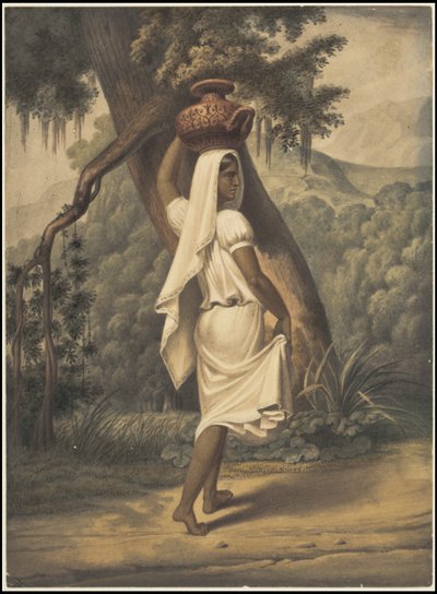 Colección de obras originales de Waldeck sobre Mesoamérica, Caja 3 de 22 de Johann Friedrich Maximilian von Waldeck