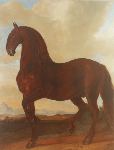 El Semental Bay en el Estudio Eisgruber de Johann Georg Hamilton