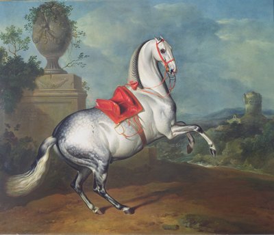 El gris moteado galopando de Johann Georg Hamilton