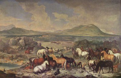El Estudio Imperial con Caballos Lipizzanos de Johann Georg Hamilton