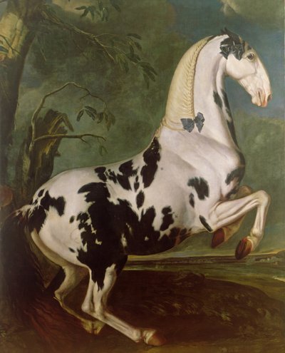 El semental pío en el criadero de Eisgruber de Johann Georg Hamilton