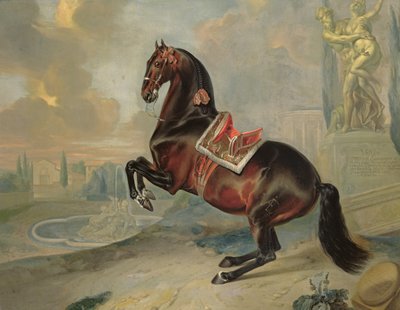El caballo bayo oscuro 