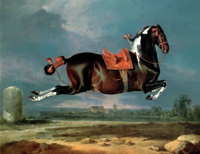 El caballo pinto 