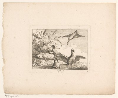 Paisaje con seis patos
Aves en paisajes (título de la serie) de Johann Georg Hertel (I) (possibly)