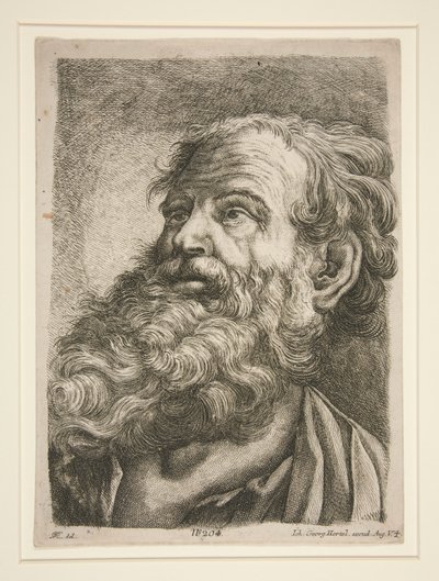 Cabeza masculina (¿de un apóstol?) de Johann Georg Hertel