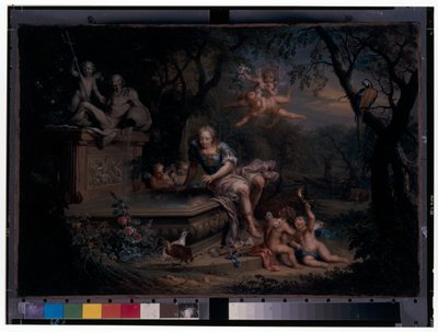 Narciso reflejado en un pozo de Johann Georg Platzer