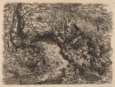 Un Viejo Sauce junto a un Arroyo de Johann Georg von Dillis
