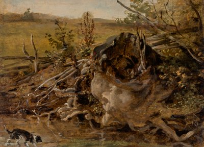 Tocón de árbol podrido y sabueso de Johann Georg von Dillis