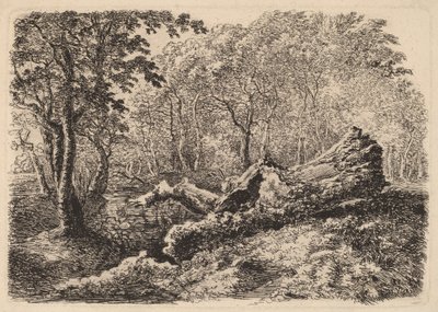 Tronco de Árbol Desmoronado de Johann Georg von Dillis