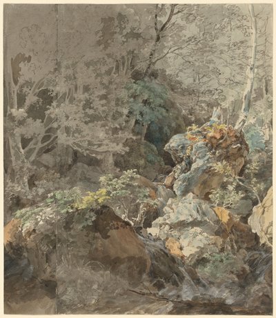 Cascadas en un bosque montañoso de Johann Georg von Dillis