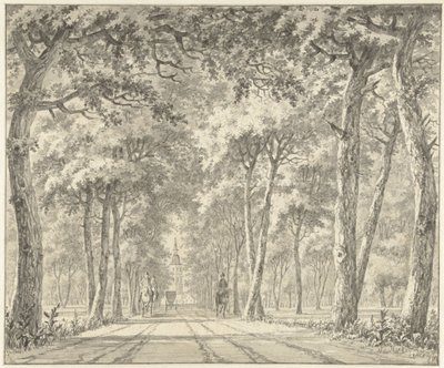 Vista de una avenida con el castillo de Karlsruhe de Johann Goll van Frankenstein (I)