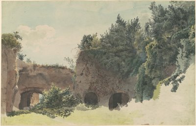 Ruinas romanas antiguas cubiertas de árboles y arbustos de Johann Gottfried Klinsky
