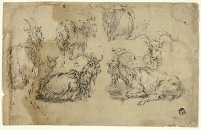 Bocetos de Cabras de Johann Gottlieb Hackert
